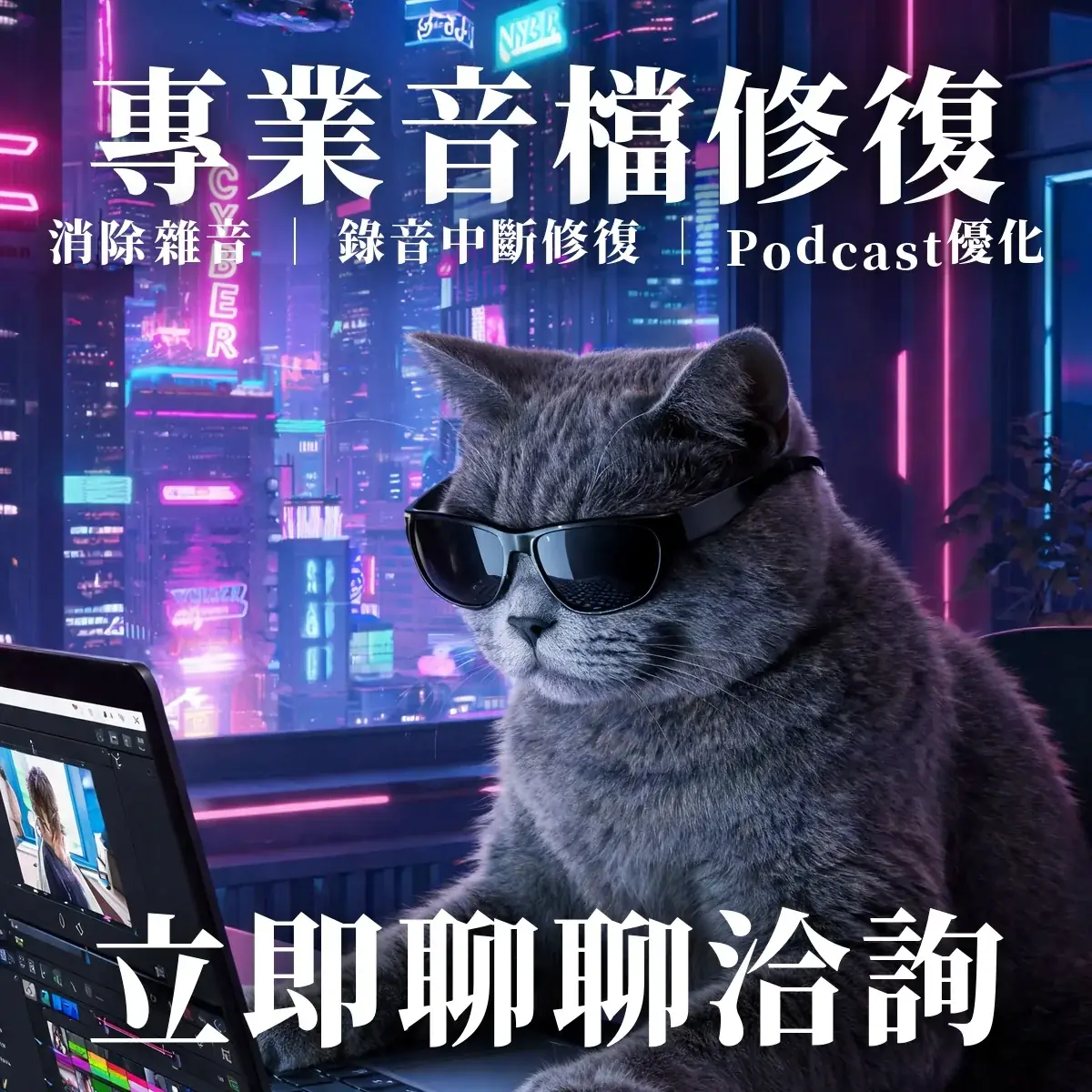 加入薯條貓影音工作室官方 LINE